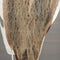 Rue Table Lamp