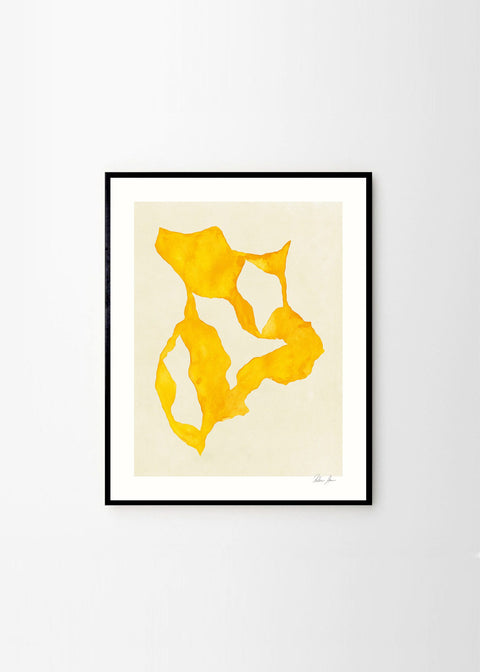 Shadow no. 14