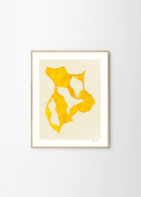 Shadow no. 14
