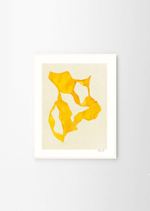 Shadow no. 14