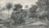 Jungle Land